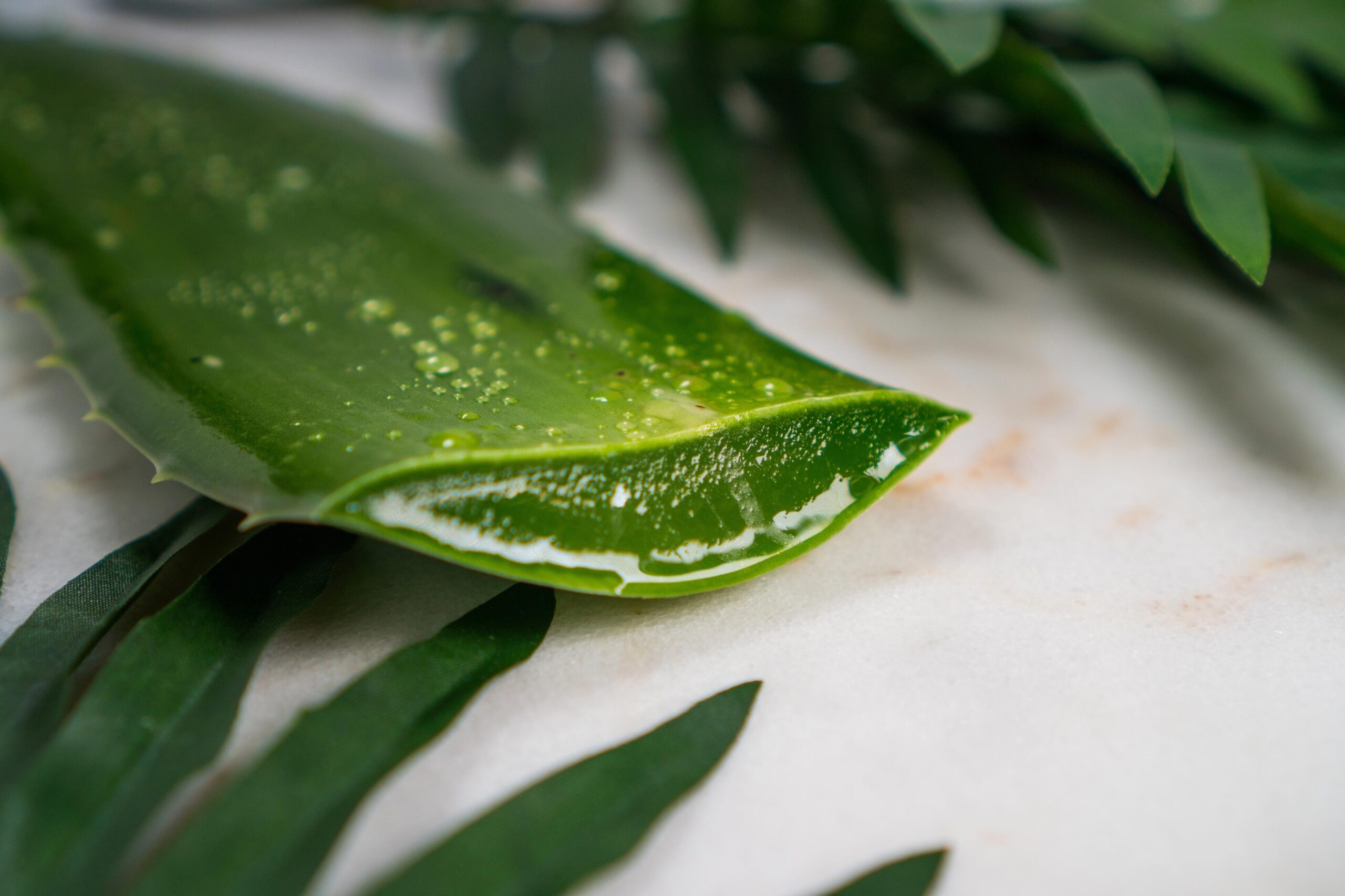 5-Ways-to-use-the-miraculous-aloe-vera-gel-for-haircare-by-stylewati