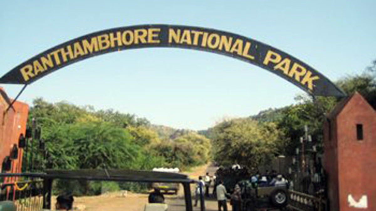 RANTHAMBORE NATIONAL PARK, RAJASTHAN-5 Places you must visit in India if you are a wildlife lover-By stylewati