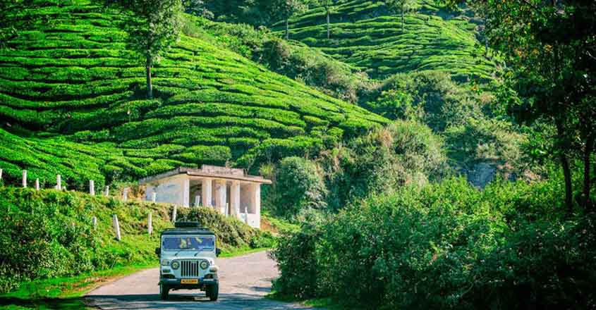 Munnar-5 best places for female solo travellers-By stylewati