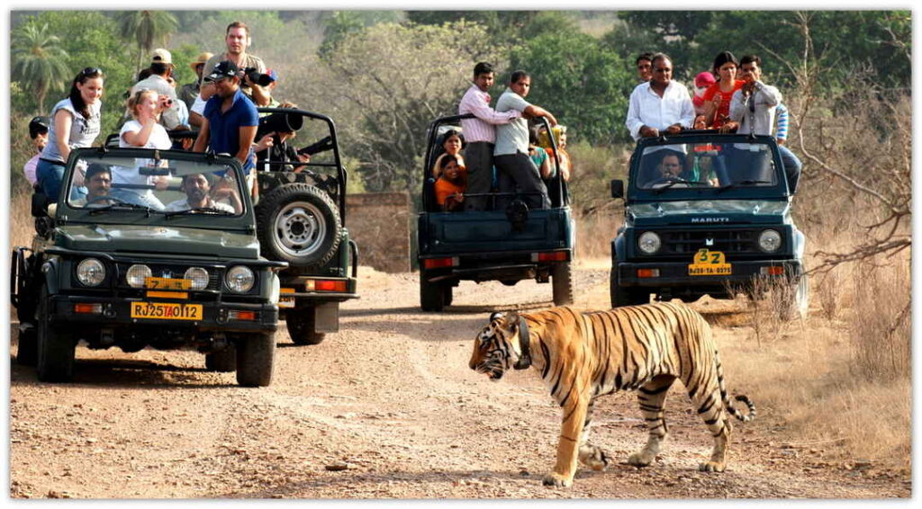 sariska tiger park -4 Exciting one-day road trips from Delhi- by stylewati